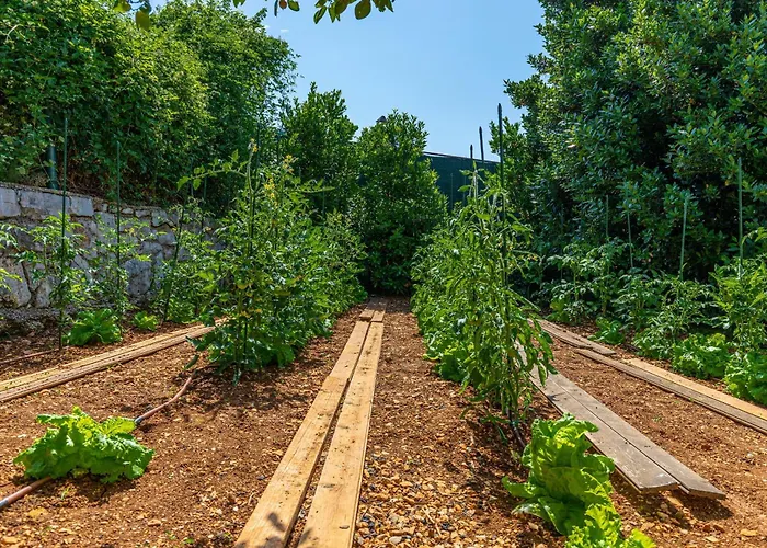 Villa Luxury With A Swimming Pool - 21519 Crikvenica